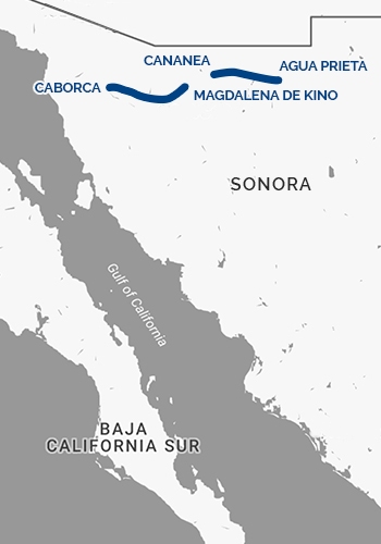 _("Mappa