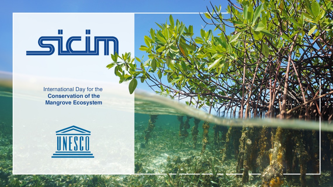 Happy International Day for the Conservation of the Mangrove Ecosystem!
